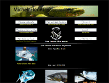 Tablet Screenshot of michel-flenet.com